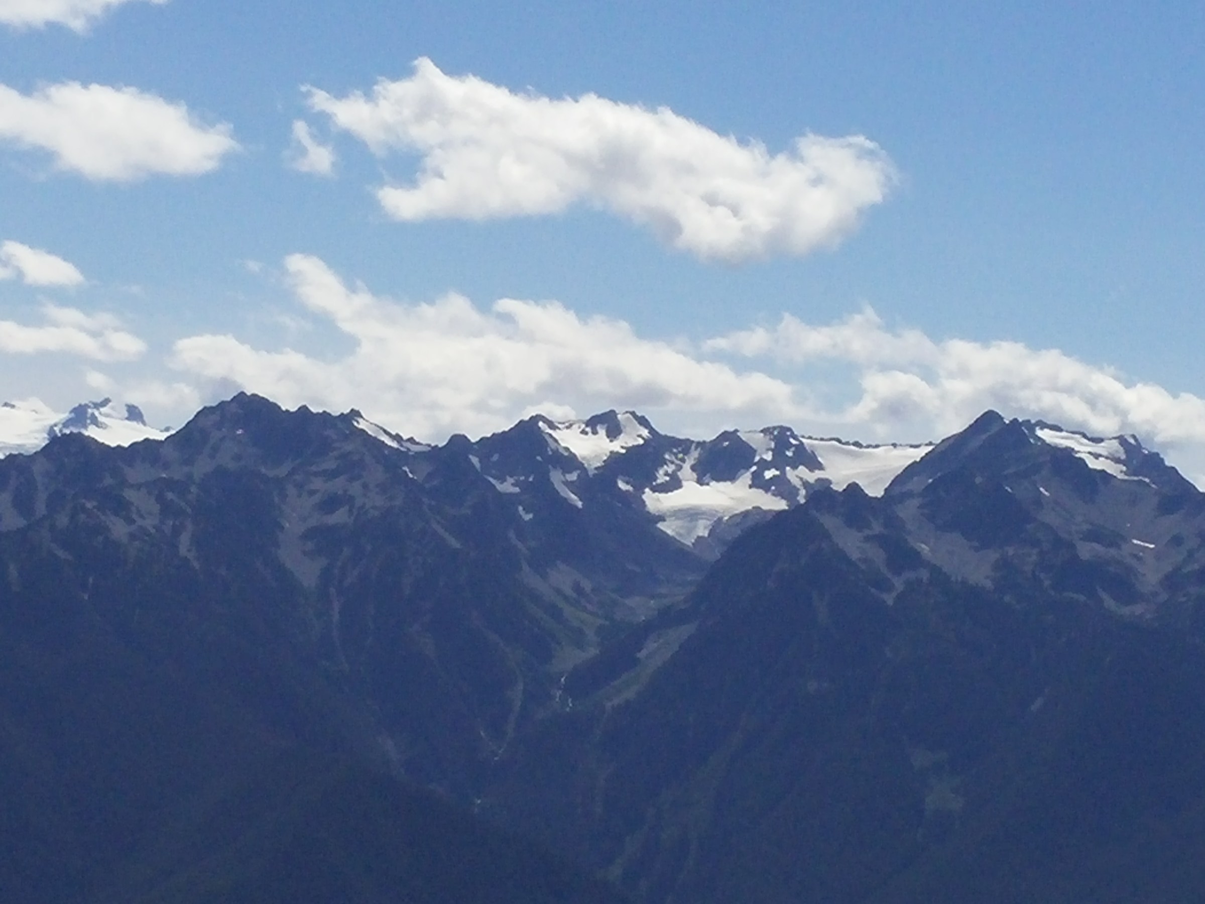 Hurricane Ridge, Olympic National Park
