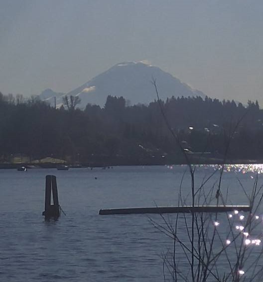 Coulon_Rainier (2)