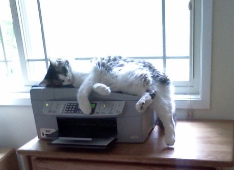 thecutejoeontheprinter