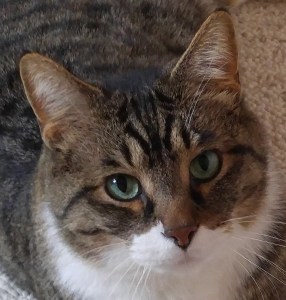 Don't worry. I'll always be there for you.