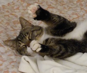 Utter relaxation ~ that's what I'm talkin about