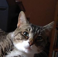 Yes, I'm listening. Go ahead.