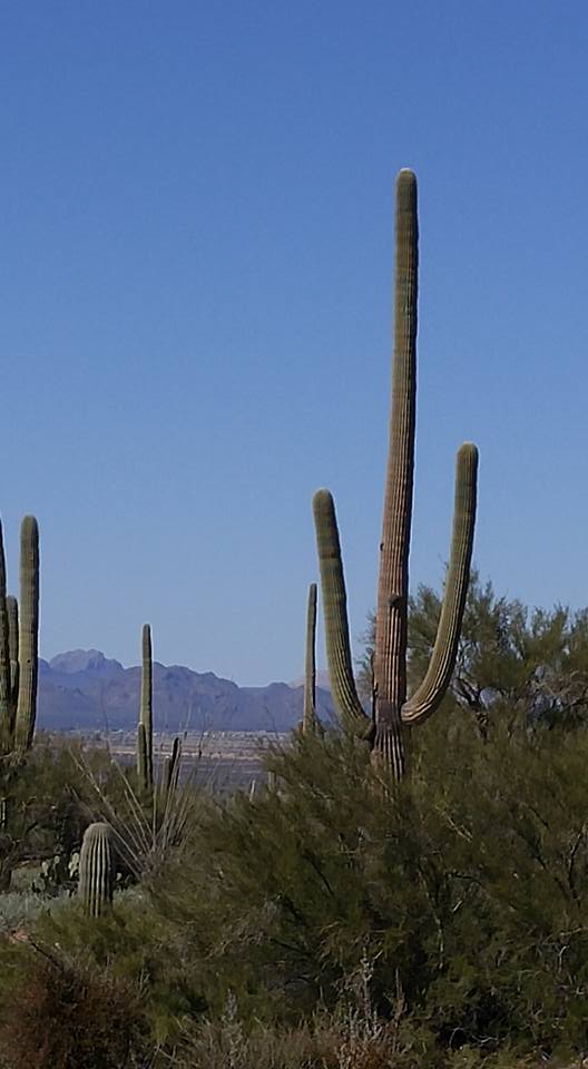 12662470_10153369402842335_7965607744560178271_n