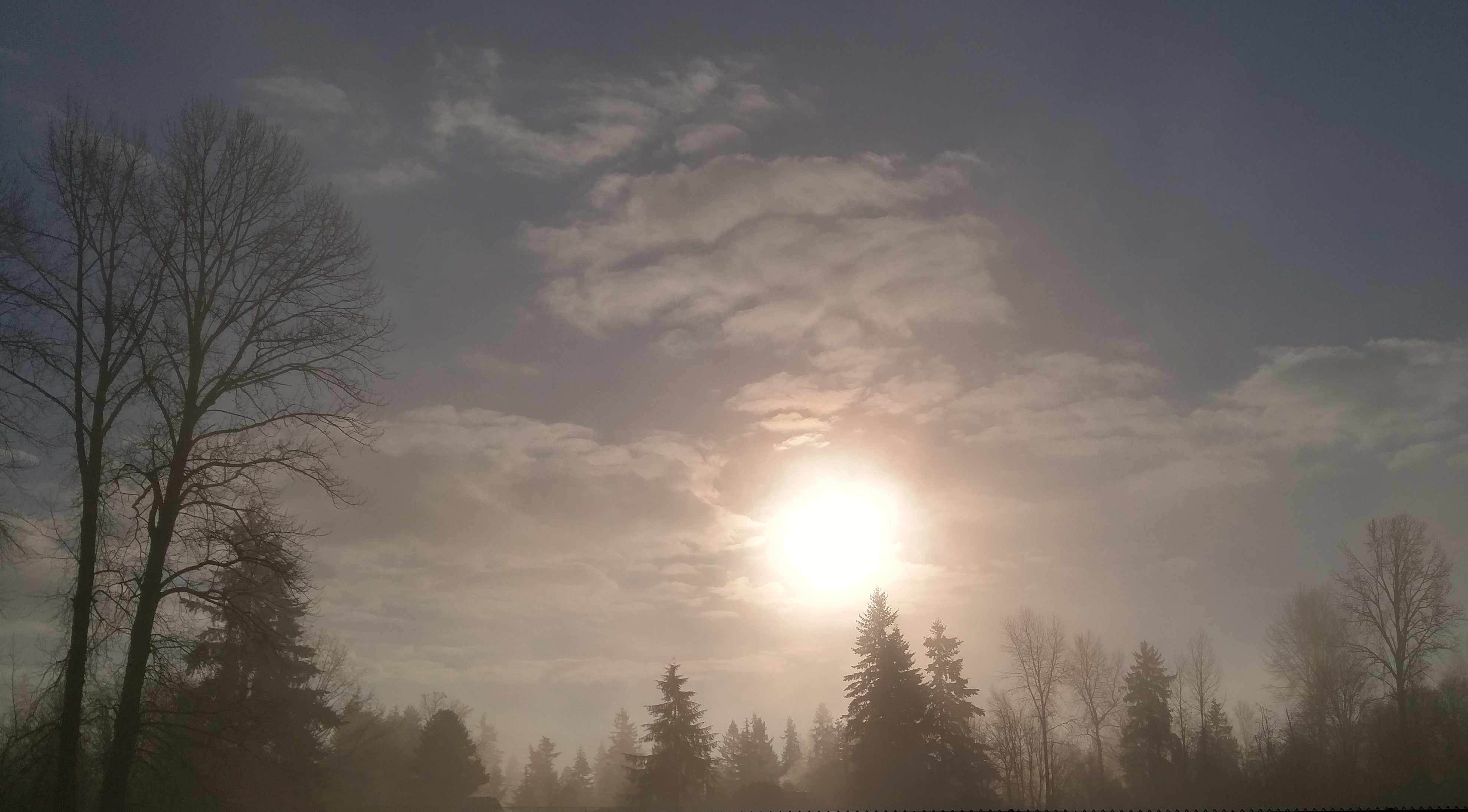 20161225_094227_hdr-3