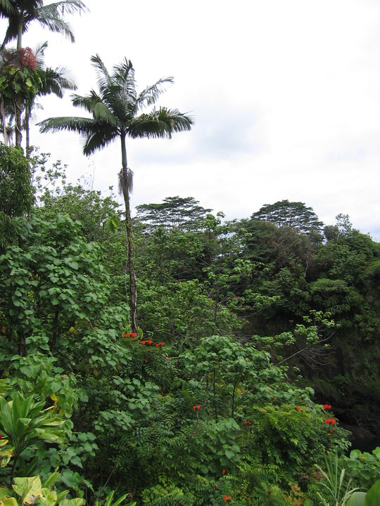 29171_399926237334_2805736_n