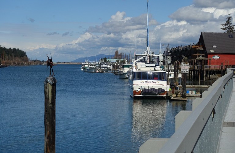 A Walk through Fairhaven and Western Washington University Cats and